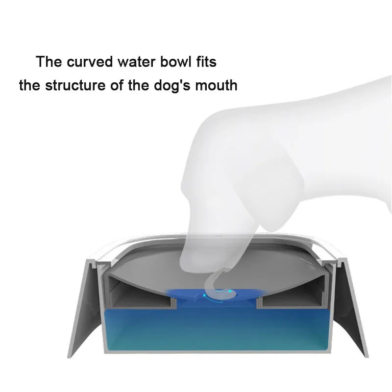 Spill Pet Water Bowl